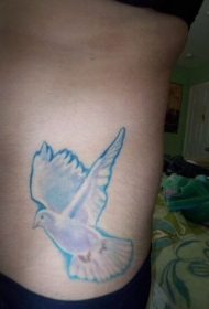 腰侧彩色清晰的鸽子纹身图片