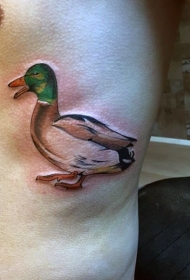 腰侧彩色动物鸭子纹身图案