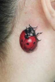 女性耳朵后根红瓢虫纹身图案