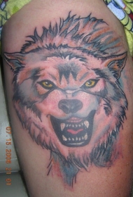 肩部彩色愤怒的狼头纹身图案