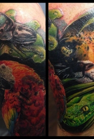 肩部现实主义风格的彩色动物纹身图案