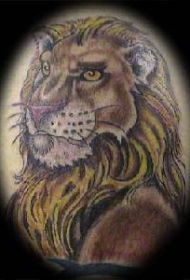 肩部彩色人性化的狮子纹身图片