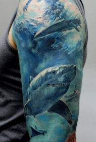 现实主义风格的彩色水下鲨鱼纹身图案