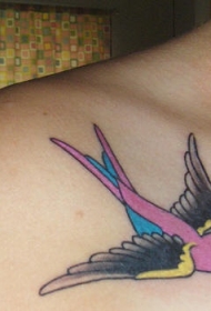 女性肩部飞行的彩色燕子纹身图案