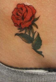 腰上小清新的红玫瑰纹身图案