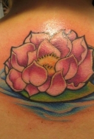 背部彩色粉红莲花水纹身图案