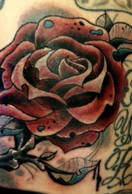 肩上彩绘不寻常的玫瑰色纹身图案