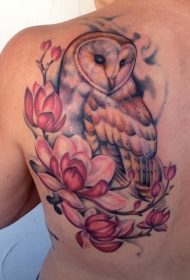 肩部水彩色大猫头鹰花朵纹身图案