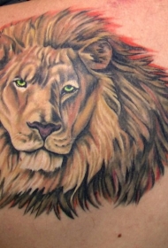 背部彩色逼真狮子头纹身图片