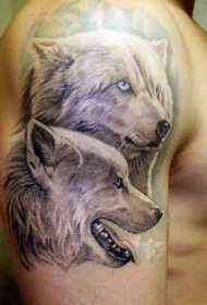 肩部灰色可爱的北极狼纹身图片
