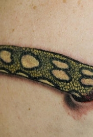 肩部彩色蛇撕皮纹身图案