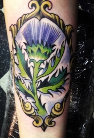 手臂彩色苏格兰植物纹身图片