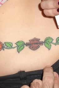 女性腰部彩色玫瑰花藤纹身图案