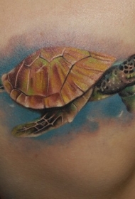 肩部水彩色逼真的龟纹身图案