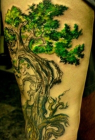 腿部彩色漂亮的盆景树纹身图案