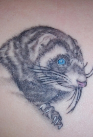背部彩色老鼠头纹身图片