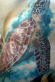肩部超逼真水彩龟纹身图案