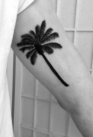 男性手臂黑色棕榈树纹身图案