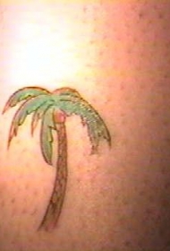 腿部彩色小棕榈树纹身图案