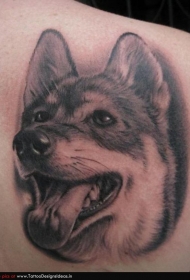 肩部黑棕色德国牧羊犬纹身图案
