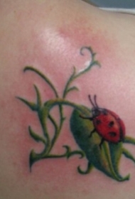 肩部彩色叶子上的瓢虫纹身图片