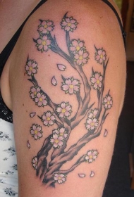 女性肩部彩色樱花树纹身图案