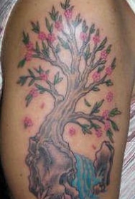 肩部彩色粉红色的花和树纹身图案