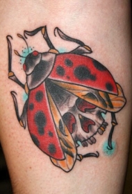 腿部彩色瓢虫骷髅纹身图片