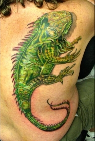 背部彩色逼真的大蜥蜴纹身图案