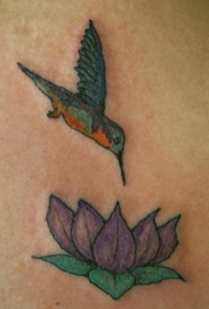 背部彩色莲花和蜂鸟纹身图案