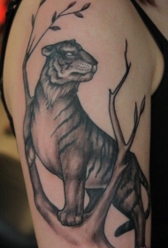 肩部简单设计的大老虎与树纹身图案