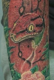 腿部彩色红蛇与玫瑰纹身图案