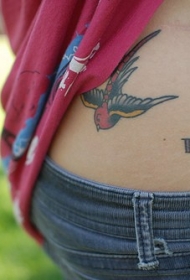 女性腰部彩色燕子纹身图案