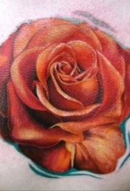 肩部漂亮逼真的红玫瑰纹身图案