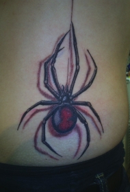 肋骨上彩色写实的蜘蛛纹身图案