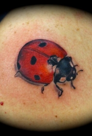 肩部彩色漂亮的瓢虫纹身图案