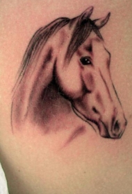 肩部棕色马的肖像纹身图案