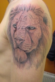 肩部棕色老狮子纹身图案