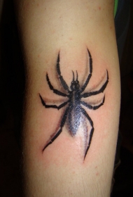 男性手臂3D黑蜘蛛纹身图案