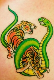 彩色老虎和蛇纹身图案