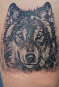 黑白狼头写实纹身图案