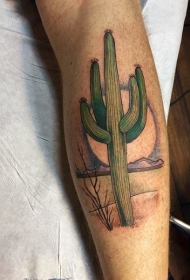 手臂彩色沙漠仙人掌纹身图案