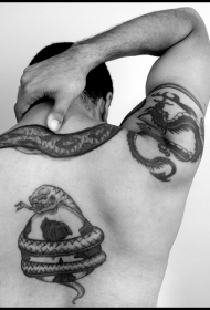 背部黑色蛇在足球的纹身图案