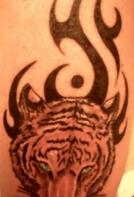 部落纹身上的老虎纹身图片