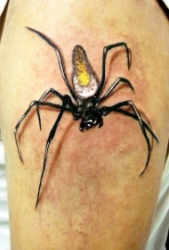 腹部手臂小蜘蛛纹身图案