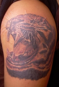 肩部咆哮的老虎纹身图案