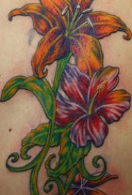 彩色植物百合花纹身图案
