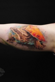 手臂彩色大海龟纹身图案