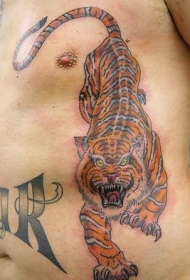 腰部彩色老虎纹身图案