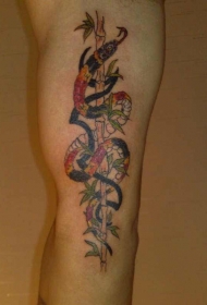 手臂蛇爬在彩色的芦苇纹身图案